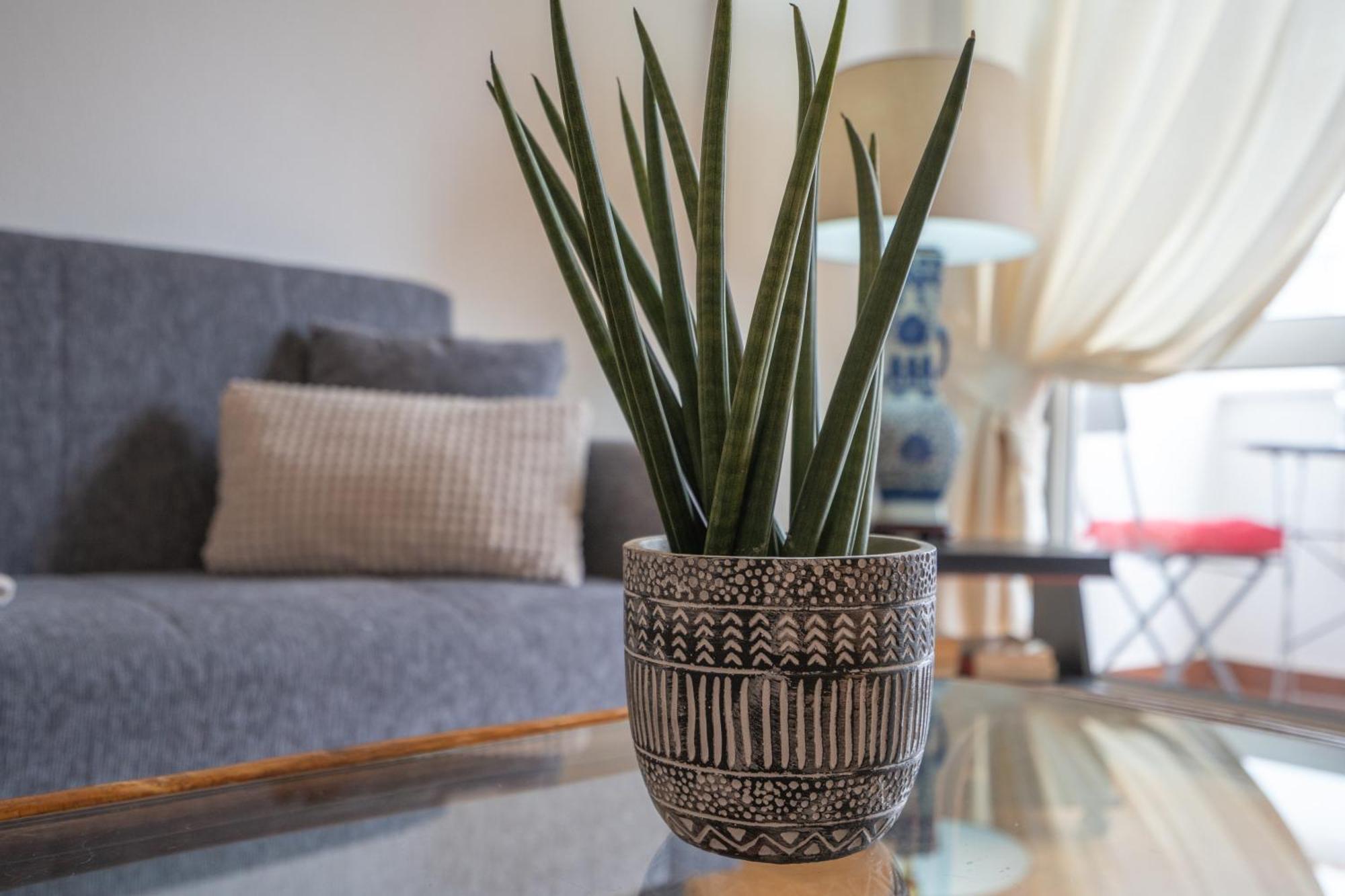 Apartamento Escadinhas Λάγος Εξωτερικό φωτογραφία